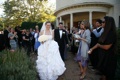 Wedding Photo